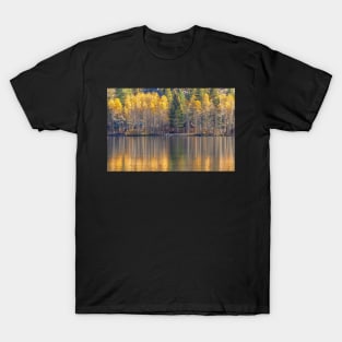 Silver Lake Reflections 2 T-Shirt